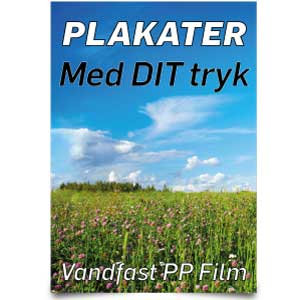 Plakater & Posters